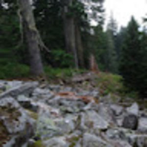 Meet your Posher, Randy